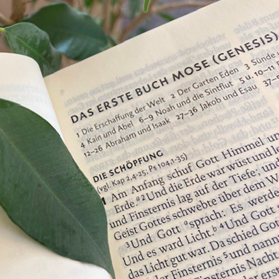 Hat Mose die Bibel geschrieben? Ein Buch aus vielen Büchern