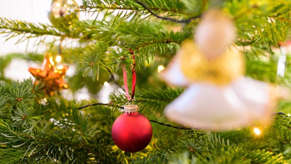 Geschmückter Weihnachtsbaum mit Stern, roter Kugel und Engelsfigur. © picture alliance/dpa | Jonas Walzberg Foto: Jonas Walzberg