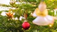 Geschmückter Weihnachtsbaum mit Stern, roter Kugel und Engelsfigur. © picture alliance/dpa | Jonas Walzberg Foto: Jonas Walzberg