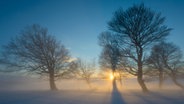 Sonnenuntergang im Winter. © picture alliance / imageBROKER | Daniel Schoenen Foto: Daniel Schoenen