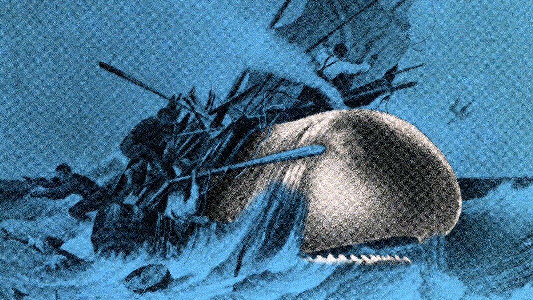 Moby Dick Oder Der Weiße Wal Ndrde Kultur Sendungen Hörspiele Auf Ndr Kultur 