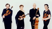 Das Artemis Quartett von links nach rechts im Gruppenporträt: Gregor Sigl, Vineta Sareika, Eckart Runge und Anthea Kreston. © Felix Broede Foto: Felix Broede