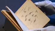 Zwei Hände, die in weißen Handschuhen stecken, halten ein altes Buch in die Höhe, in dem Zeichnungen von Vögeln zu sehen sind. © picture alliance/dpa | Jens Kalaene 