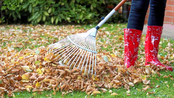 Eine Person steht mit Gummistiefeln und Rechen vor einem Laubhaufen. © Fotolia Foto: Kathrin39