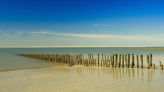 Holzpfähle im Sand am Meer © NDR Foto: Günter Berger