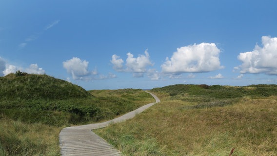 Weg durch die Dünen auf Spiekeroog © NDR Foto: Günter Berger