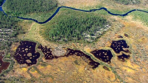 Schwedische Sumpflandschaft aus der Luft © NDR Naturfilm 