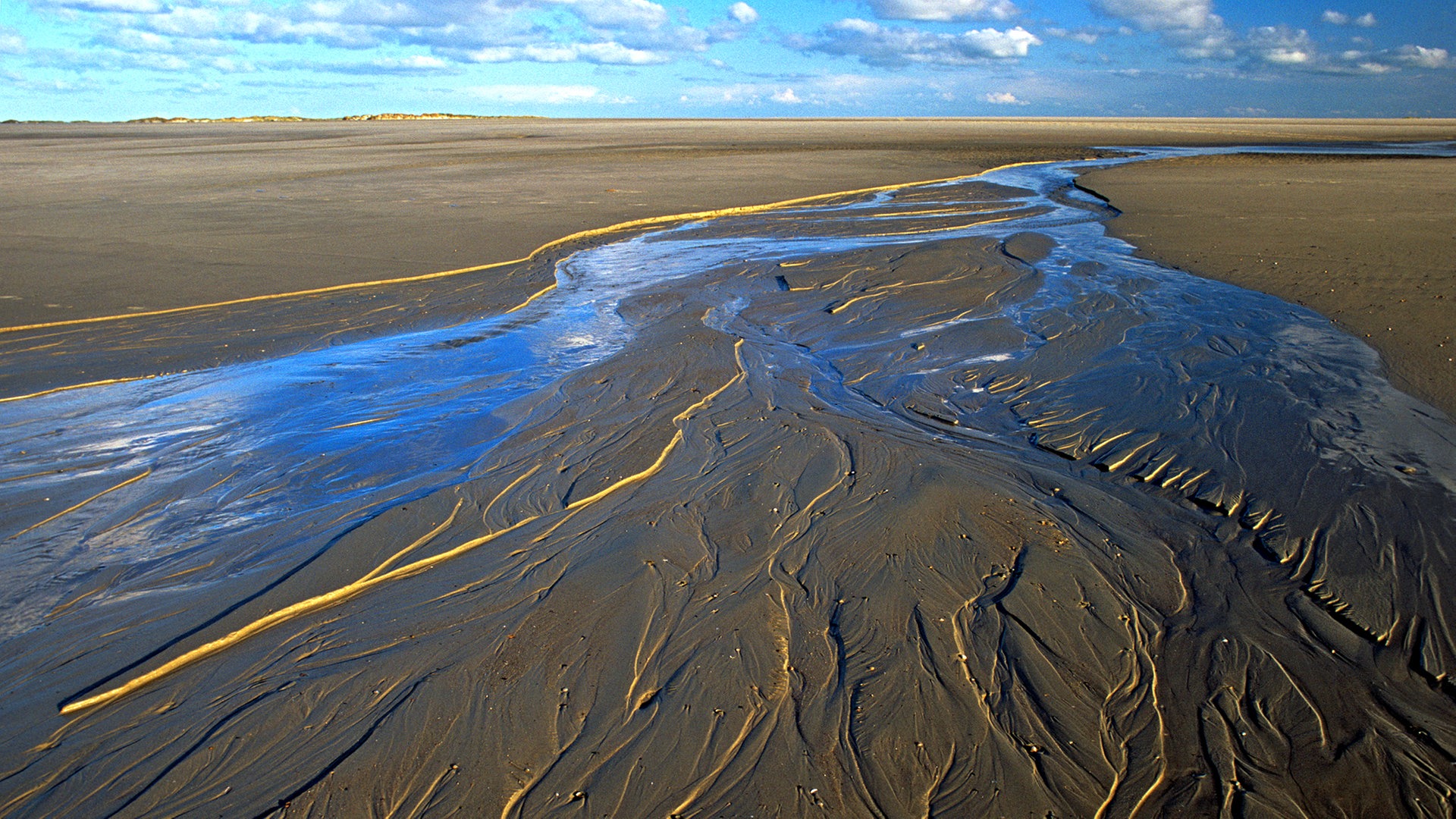 Das Wattenmeer: Ein einzigartiger Lebensraum | NDR.de - Ratgeber - Reise -  Wattenmeer