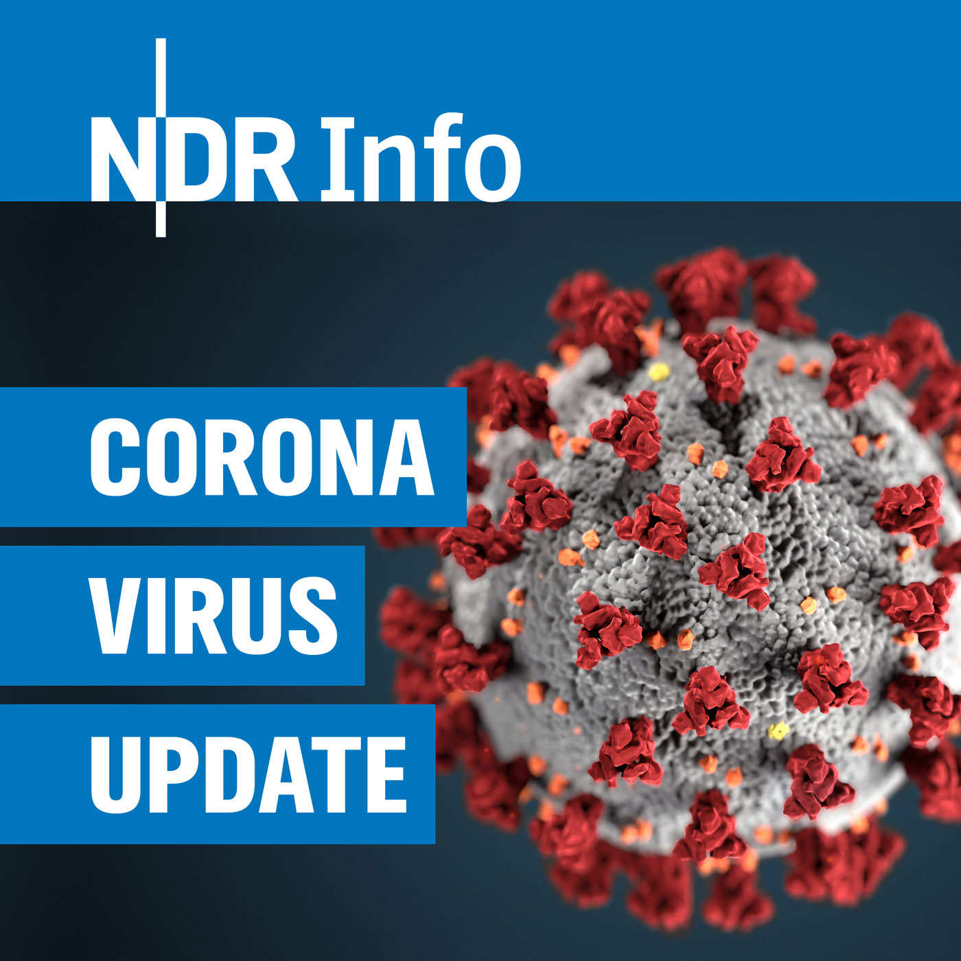 (106) Coronavirus-Update: Weihnachten mit Omikron