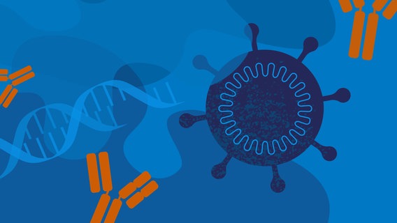 Illustration eines Viruspartikels, DNA-Strangs und Antikörpern in Blau- und Orangetönen, symbolisiert Immunreaktion und genetische Forschung. © CDC on Unsplash Foto: CDC on Unsplash