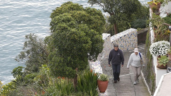 Angela Merkel und ihr Mann Joachim Sauer beim Wandern auf Ischia 2015 © picture alliance / AP Photo Foto: Ciro De Luca