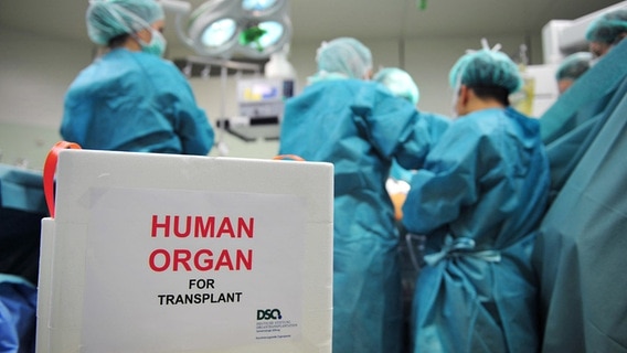 Im OP wird ein Organ transplantiert. © DSO Foto: J. Rey