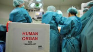 Im OP wird ein Organ transplantiert. © DSO Foto: J. Rey