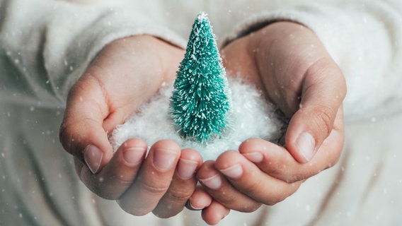 Ein Weihnachtsbaum wird auf einer Hand gereicht. © ASIFE / photocase.de Foto: ASIFE / photocase.de