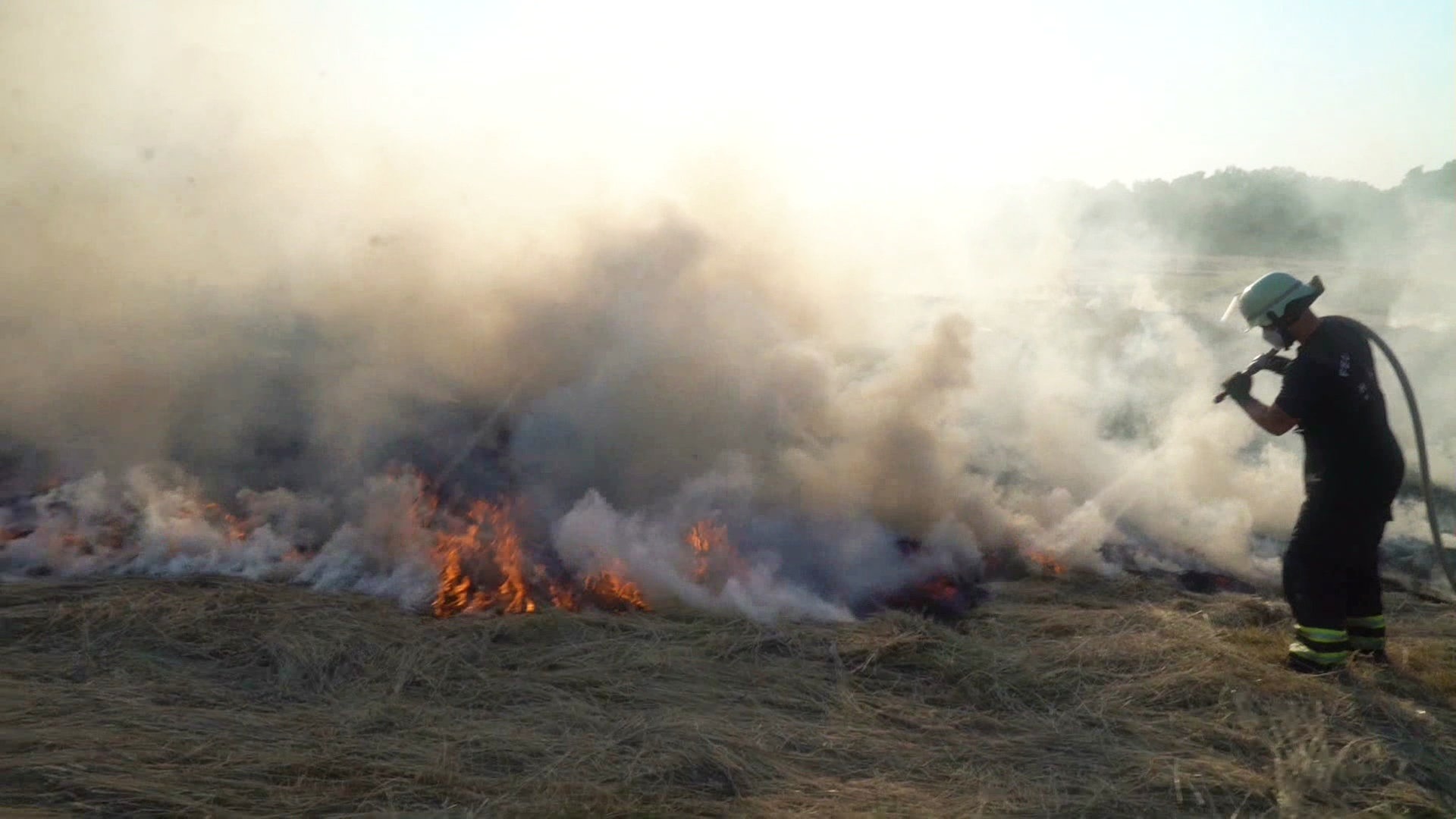 Hamburger Feuerwehr löscht großen Wiesenbrand an der A1