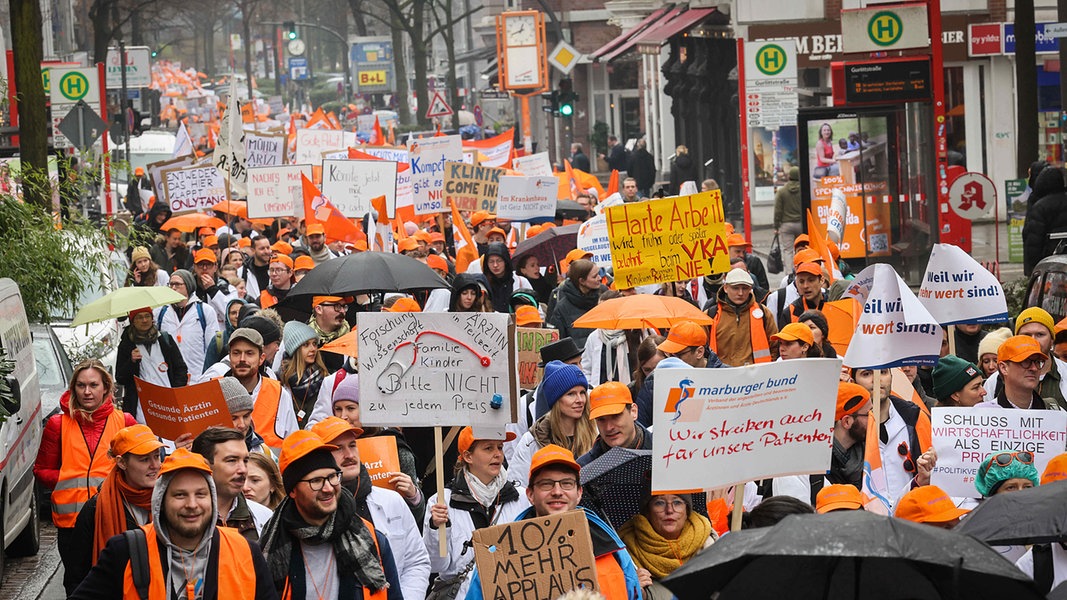 Clinicians in Thousands Join Strike and Rally in Hamburg