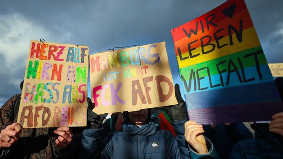 Teilnehmende einer Protestaktion gegen die AfD in der Hamburger Innenstadt. © picture alliance/dpa Foto: Christian Charisius