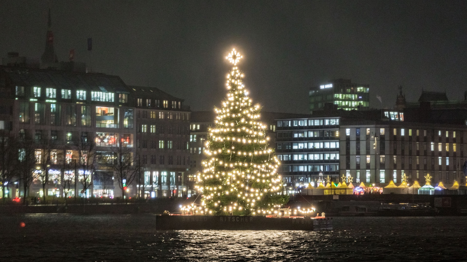 Alstertanne auf der Binnenalster leuchtet wieder