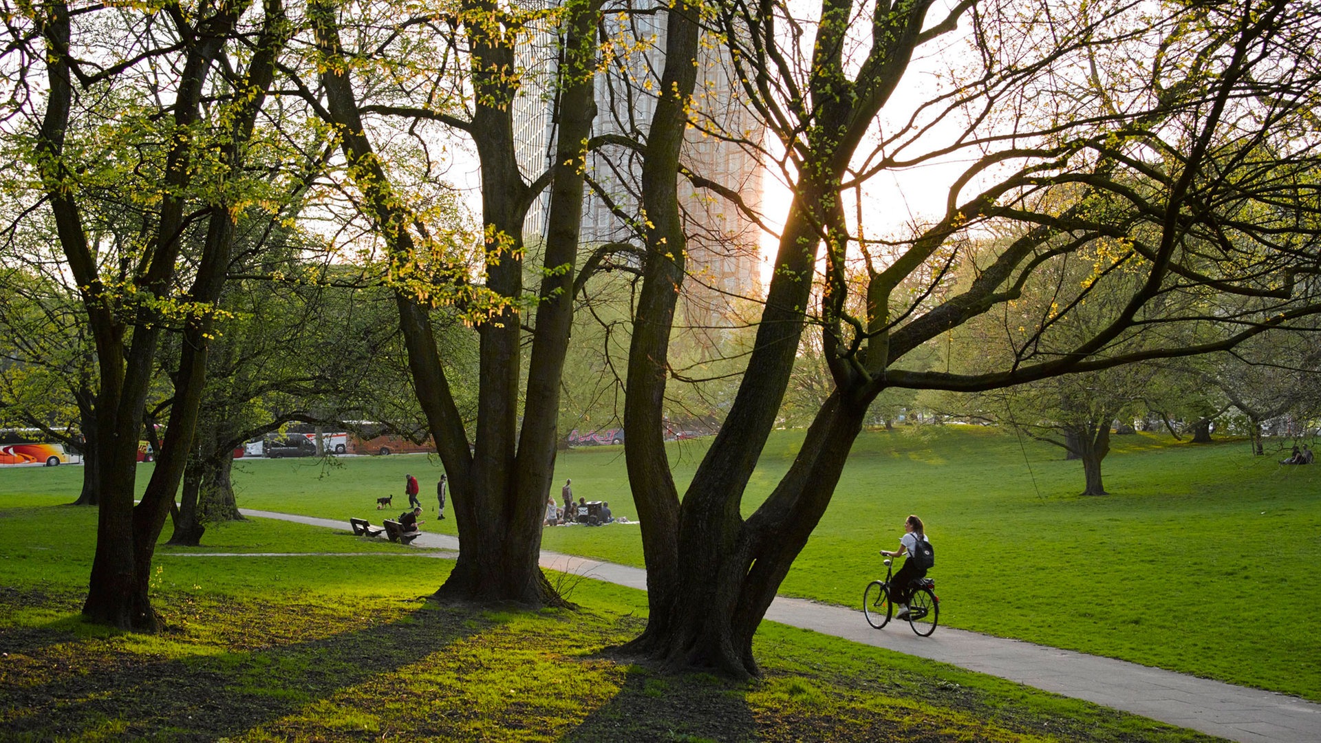 Hamburg: Ausschreibung für Sanierung des Alten Elbparks startet