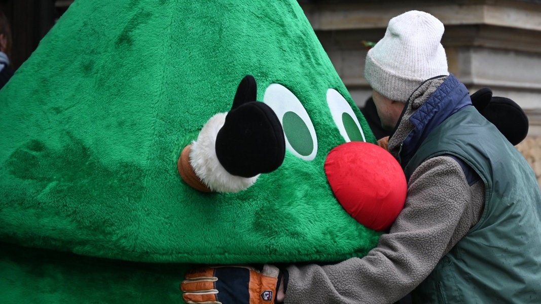 Heimlich Weihnachtsbaum auf Kita-Gelände gestellt: Geldstrafe