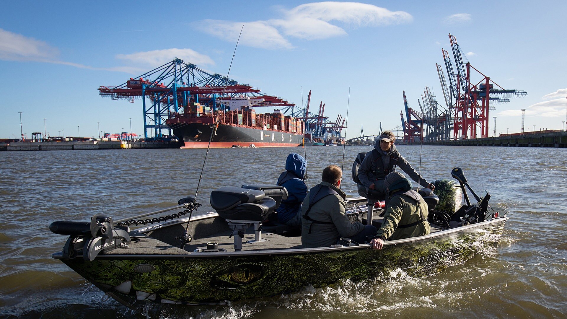 Wenig Sauerstoff: Sorge um Fische in der Elbe