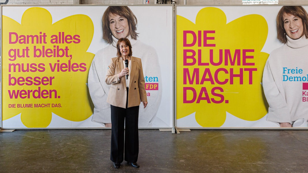 Bürgerschaftswahl in Hamburg: FDP stellt Wahlkampagne vor