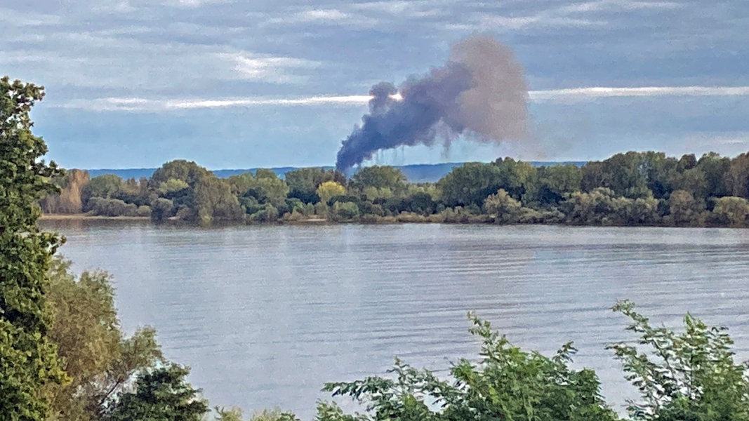 Hamburg-Neuenfelde: Großbrand in Lagerhalle für Obst