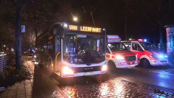 Ein Bus steht nach einem tödlichen Unfall am Straßenrand. © NonstopNews Foto: Screenshot