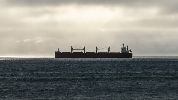 Ein Containerschiff in der Bucht von Kapstadt © picture alliance / HOCH ZWEI | HZ Foto: picture alliance / HOCH ZWEI | HZ