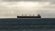 Ein Containerschiff in der Bucht von Kapstadt © picture alliance / HOCH ZWEI | HZ Foto: picture alliance / HOCH ZWEI | HZ