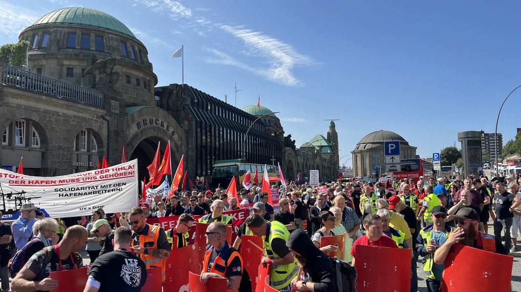 Hunderte Menschen demonstrieren gegen Hafen-Deal in Hamburg