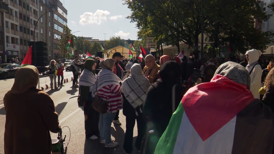 Hunderte Menschen bei Pro-Palästina-Demonstration in Hamburg