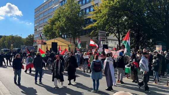 Mehrere Personen demonstrieren auf einer Straße. © NDR Screenshot 