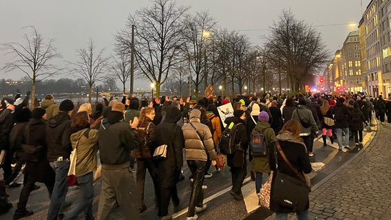 Demonstrierende in der Hamburger Innenstadt. © NDR Foto: Finn Kessler