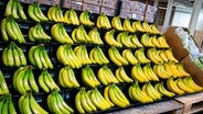 sehr viele bananen auf holzpalleten © dpa-Bildfunk Foto: Daniel Bockwoldt