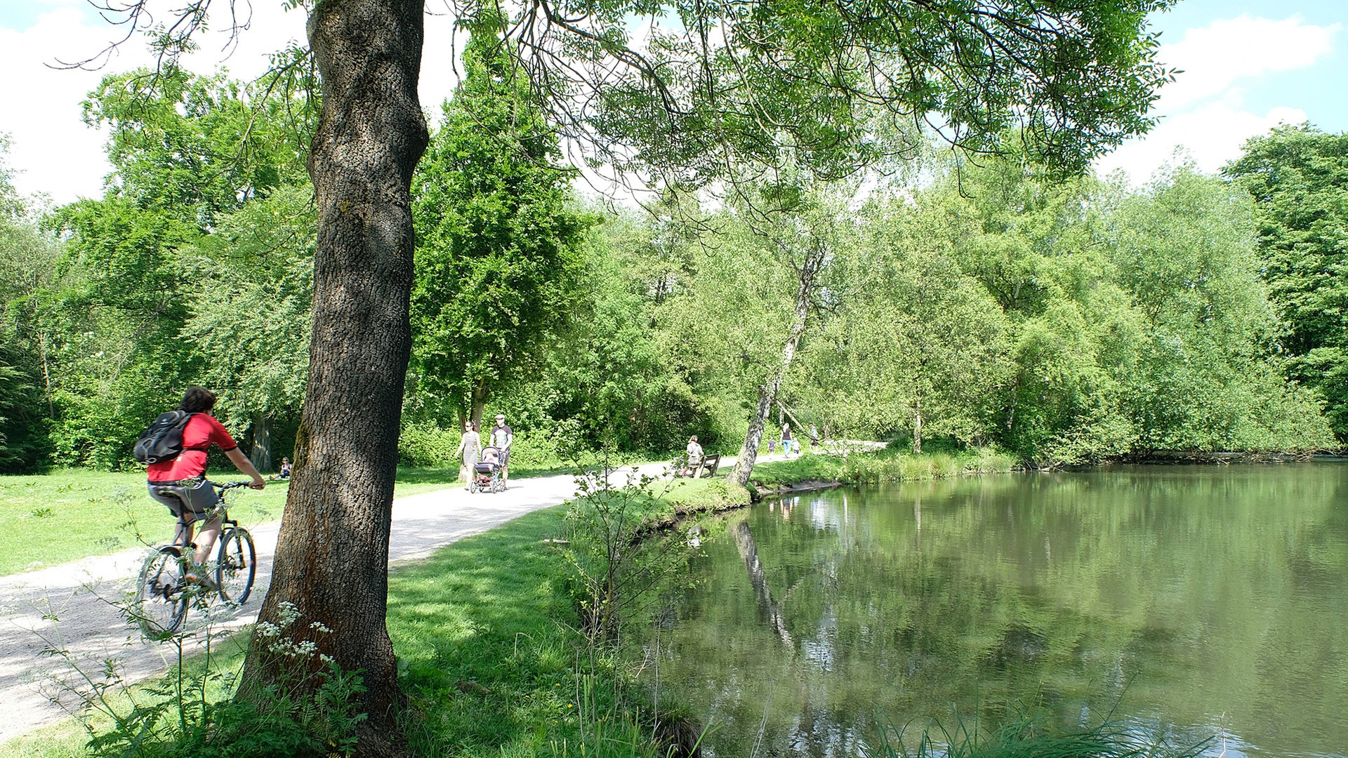 Wie der Eichtalpark zum „Klimapark“ werden soll