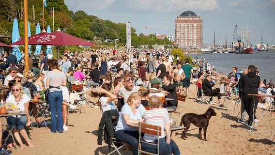 Zahlreiche Menschen genießen die Sonne am Elbstrand in Övelgönne. © picture alliance/dpa Foto: Georg Wendt