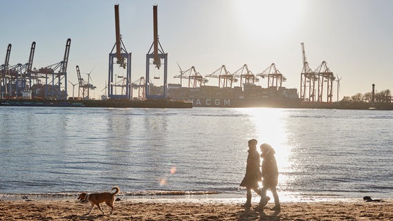 Zwei Frauen gehen am Elbufer bei Övelgönne im Sonnenschein mit ihrem Hund spazieren. © picture alliance/dpa | Georg Wendt Foto: Georg Wendt