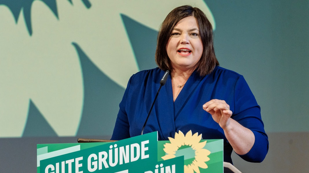 Member Meeting: Greens in Hamburg Demonstrate Unity