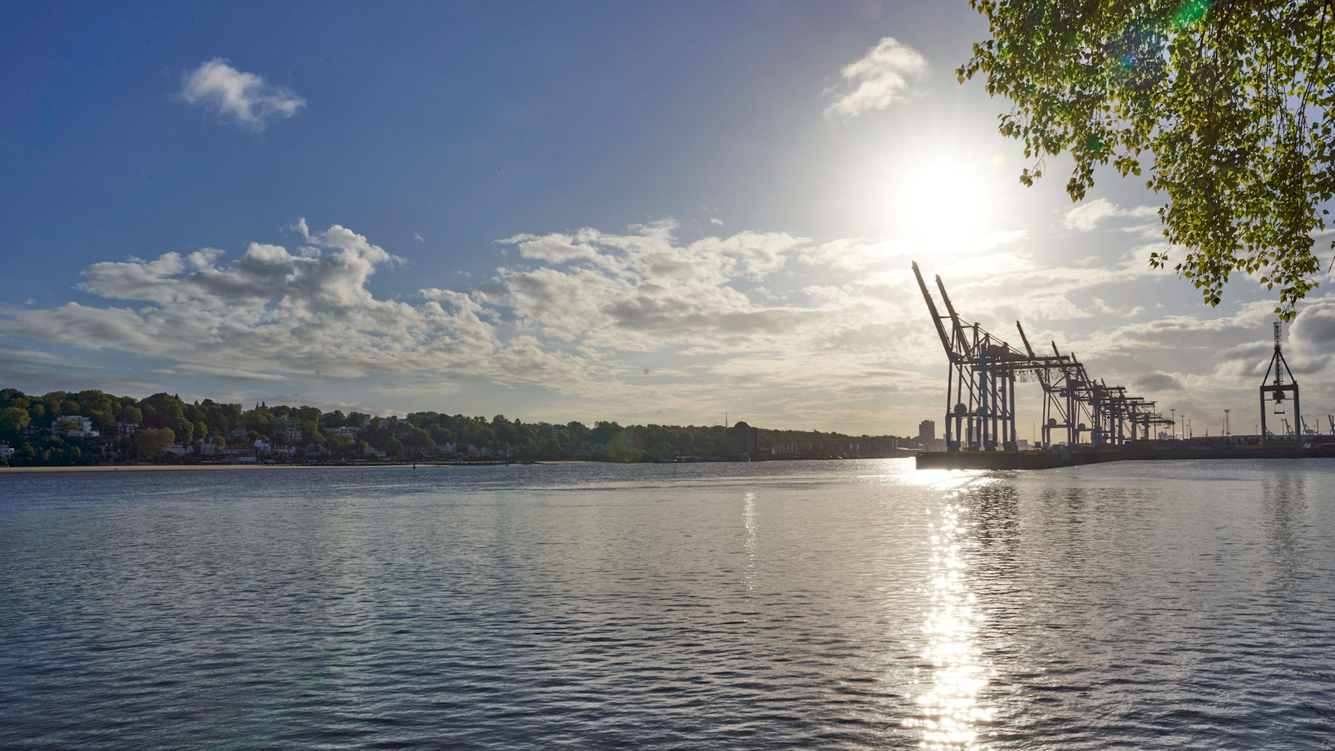 Umweltverbände befürchten Fischsterben in der Elbe in Hamburg