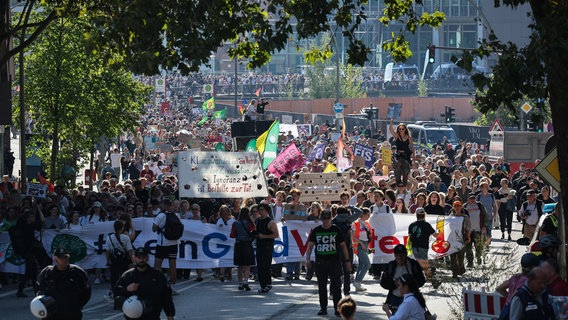 Eine Menschen-Menge geht bei der Fridays for Future Demo durch die Hamburger Innenstadt. © dpa-bildfunk Foto: Christian Charisius