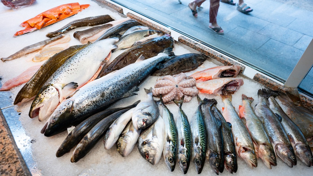 Bilanz für 2023: Deutsche geben so viel für Fisch aus wie noch nie