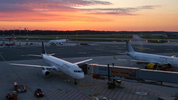 Lufthansa-Maschinen und Flugzeuge anderer Airlines stehen am Abend bei Sonnenuntergang auf dem Vorfeld am Flughafen Hamburg. © Bodo Marks/dpa 