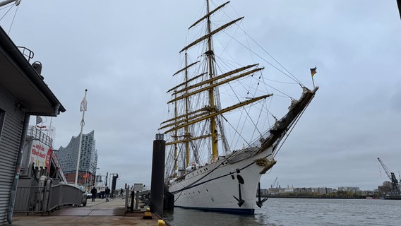 Die Gorch Fock hat an der Überseebrücke festgemacht. © NDR Foto: Anna Rüter