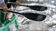 Paddel mit dem Logo des Projekts "Green Kayak" tauchen aus dem Wasser auf. © picture alliance/dpa | Hendrik Schmidt Foto: Hendrik Schmidt