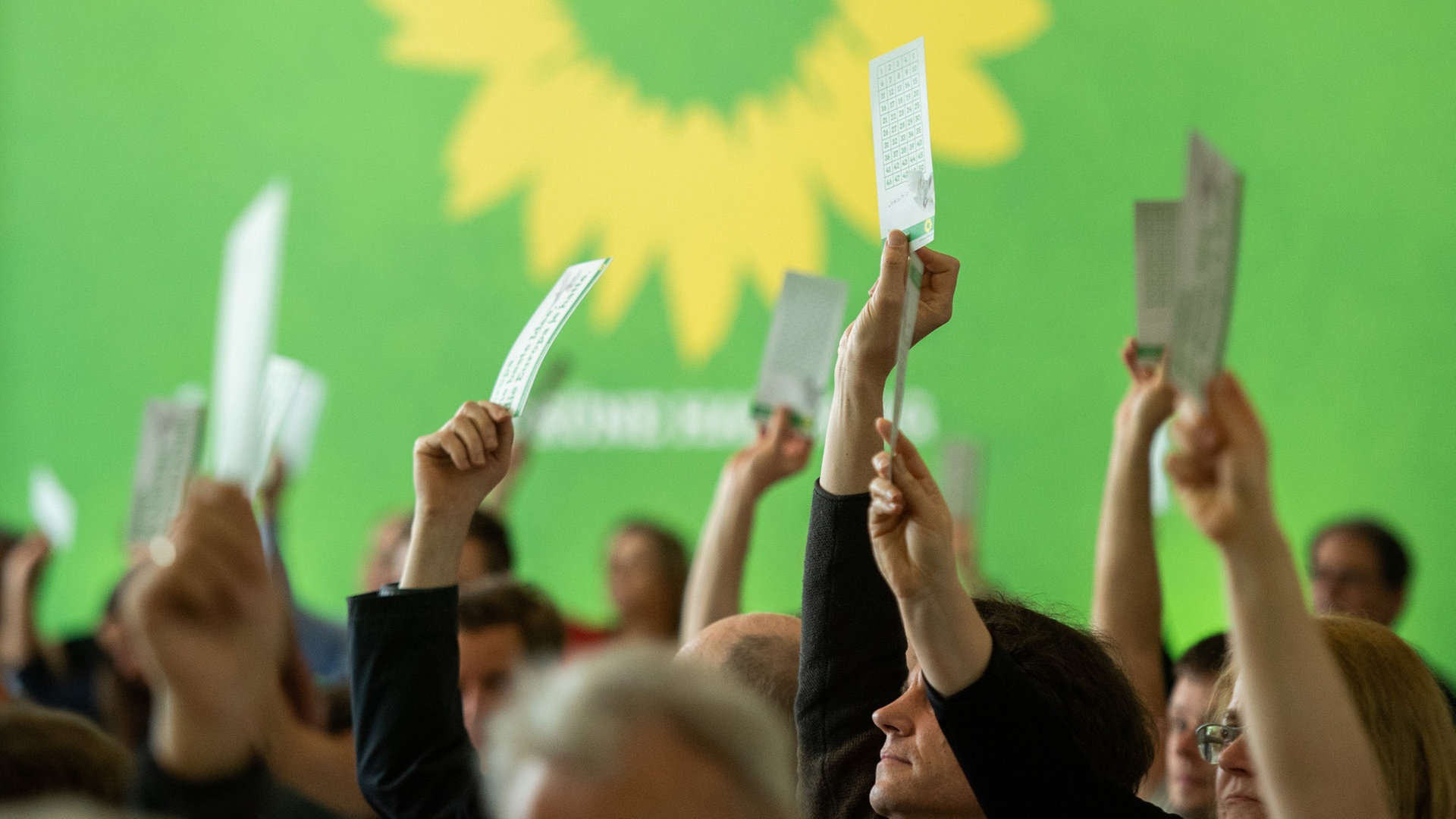 Hamburgs Grüne stützen Ukraine-Kurs des Landesvorstands