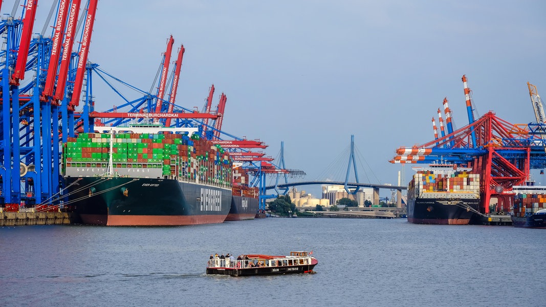 Containerschiffe liegen am Burchardkai im Hamburger Hafen