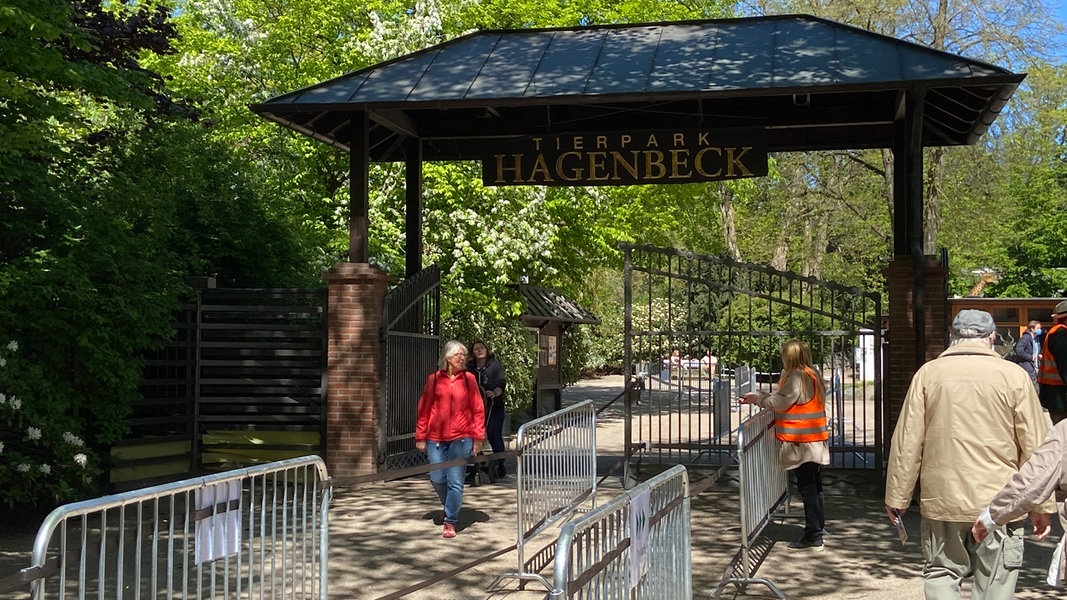 Hagenbecks Tierpark opens the outdoor area from Wednesday |  NDR.de – Nachrichten – Hamburg