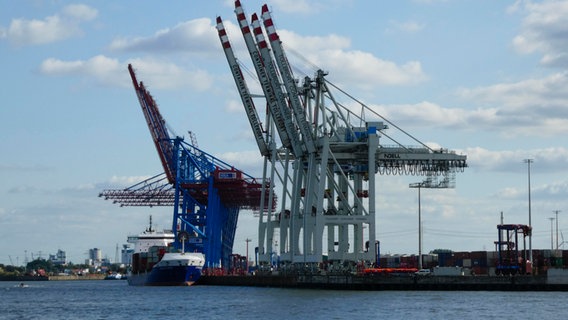 Containerterminal Tollerort im Hamburger Hafen. © picture alliance 