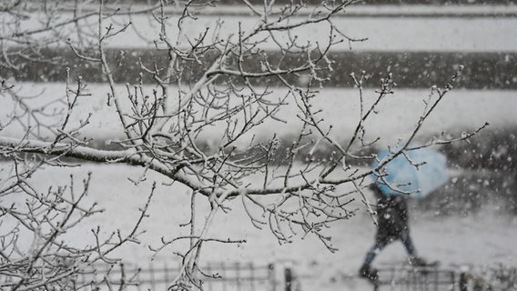 Zahlreiche Menschen sind im schneebedeckten Schanzenpark unterwegs. © dpa-Bildfunk Foto: Christian Charisius